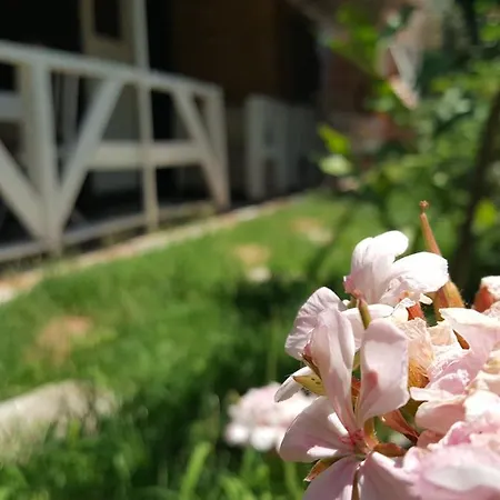 Apartamento Atar Ciftligi Doga Evleri Marmaris